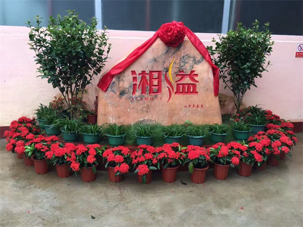 如此场景，生意极火爆，试过味之后，回味无穷(图2)